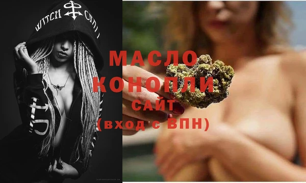 амф Слюдянка