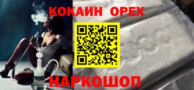 индика Камышлов