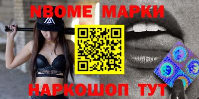 индика Камышлов
