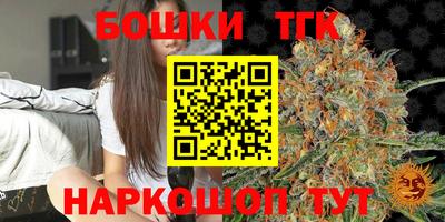 индика Камышлов