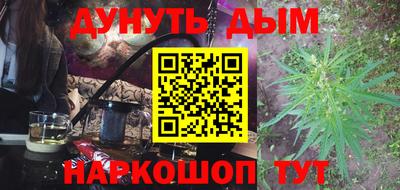 индика Камышлов