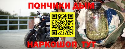 индика Камышлов