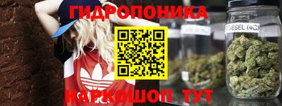 ALPHA PVP Кандалакша