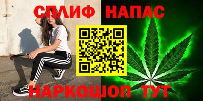 индика Камышлов