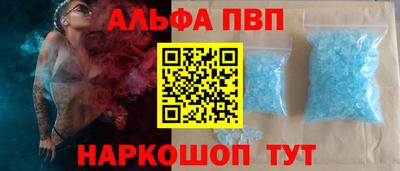индика Камышлов