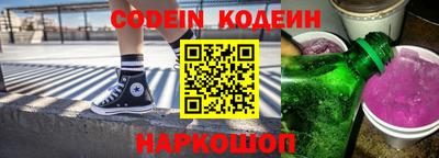 индика Камышлов