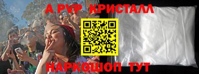 индика Камышлов