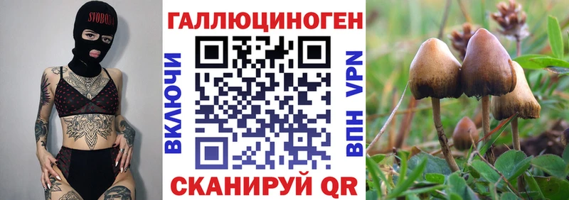 цена наркотик  Дагестанские Огни  кракен вход  Галлюциногенные грибы Cubensis 