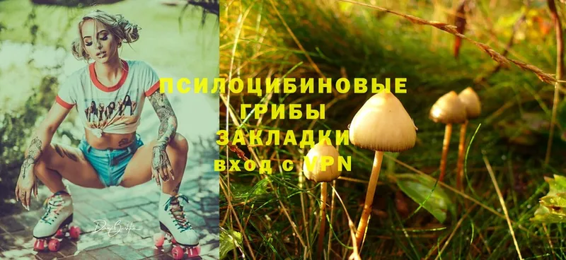 Галлюциногенные грибы MAGIC MUSHROOMS  даркнет сайт  Дагестанские Огни 