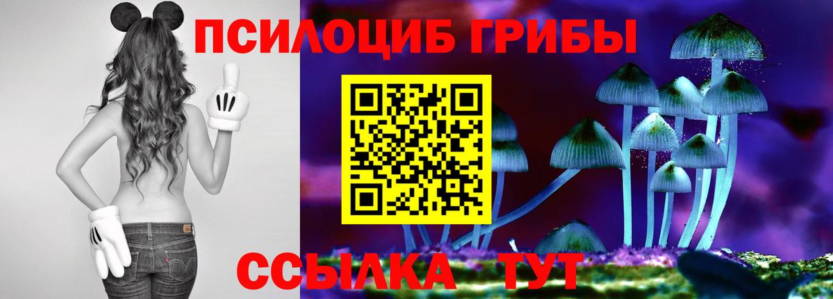 Галлюциногенные грибы Cubensis Дагестанские Огни